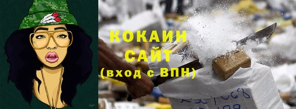 шишки Абаза