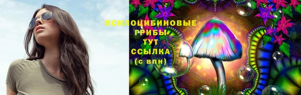 СК Сафоново
