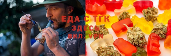 шишки Абаза