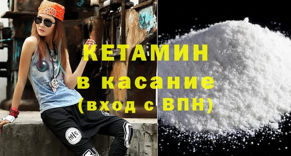 индика Сатка