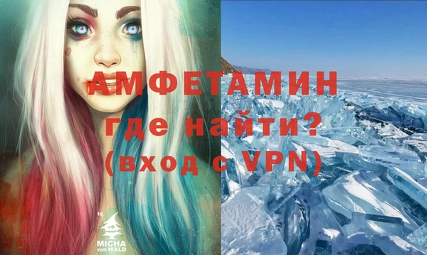 шишки Абаза