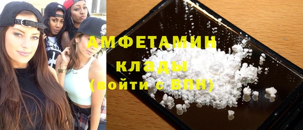индика Сатка