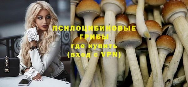 спайс Алзамай