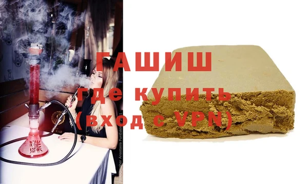 шишки Абаза