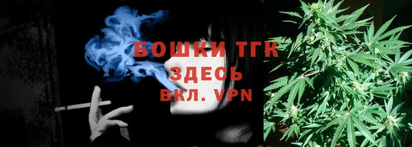шишки Абаза