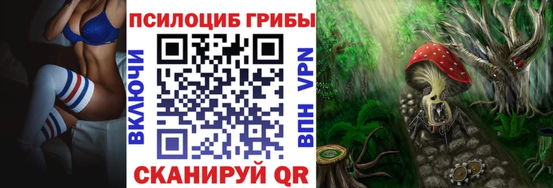 закладки  Кингисепп  Псилоцибиновые грибы GOLDEN TEACHER 