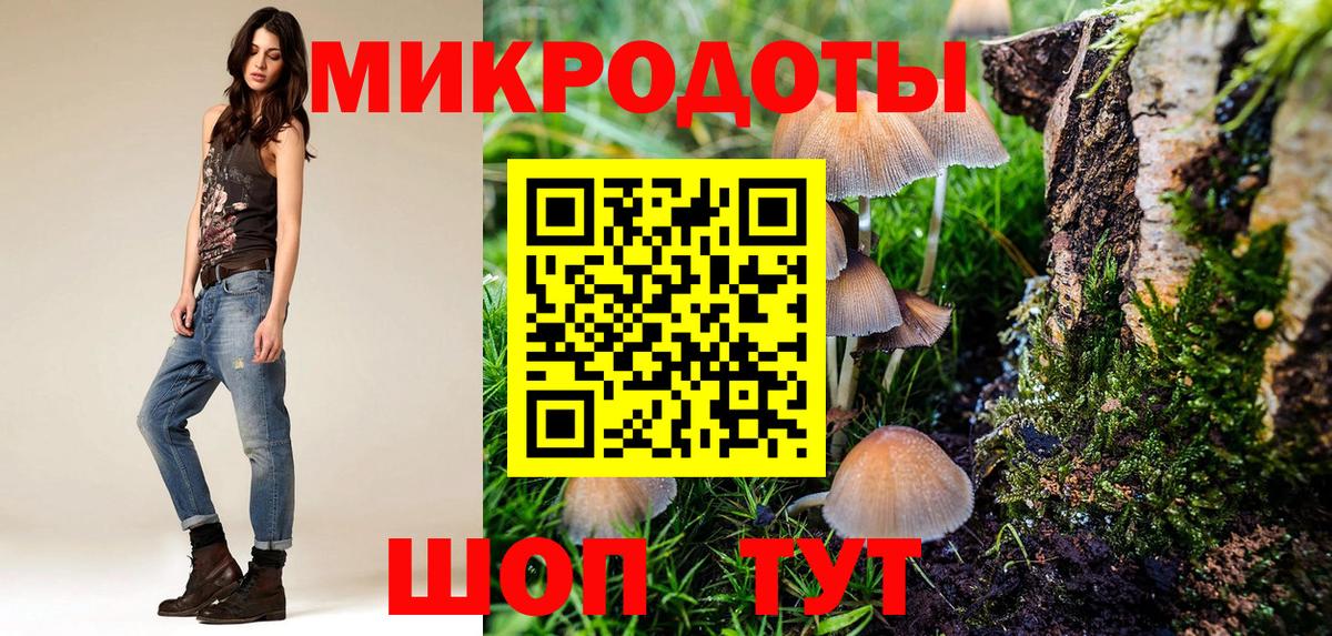 Кингисепп  что такое   Галлюциногенные грибы GOLDEN TEACHER  Вход с VPN  Галлюциногенные грибы мицелий 