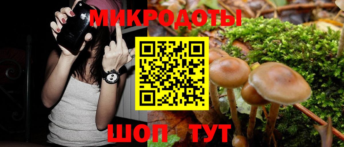Галлюциногенные грибы Cubensis Кингисепп